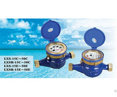 Chinese Famous Brand Amico Rotary Vane Pointer Water Meter