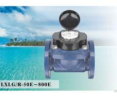 Woltman Detachable Water Meter