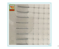 Plastic Chicken Netting Poultry Net From China Factory