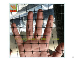 The Top Anti Bird Net Supplier From China