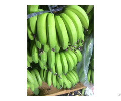 Banana Suppliers