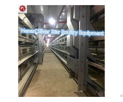 Silver Star Factory Sales Fully Automatic H Type Broiler Chicken Cage Equipments For Poultry Farm