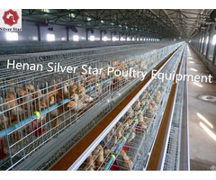 Henan Silver Star Sales Poultry Layer Pullet Rearing Cage For Nigeria Farm