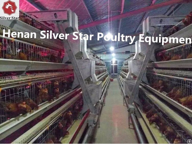 Chicken Farming Poultry Cages For Egg Layers Sales In Africa