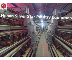 Chicken Farming Poultry Cages For Egg Layers Sales In Africa