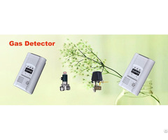 Gas Detector With Solenoid Valve