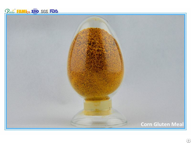 Corn Gluten Meal Feed Grade