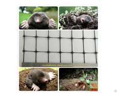Mole Netting From China