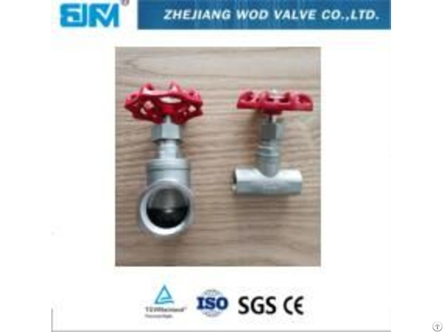 Thread Stainless Steel Globe Valve