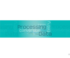 Data Extraction Services Provider In India