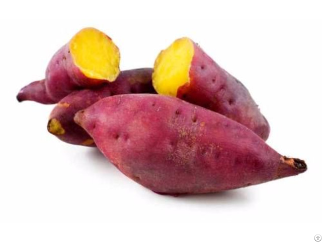 Sweet Potato Vietnam