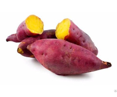 Sweet Potato Vietnam