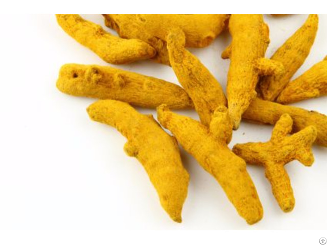 Turmeric Finger