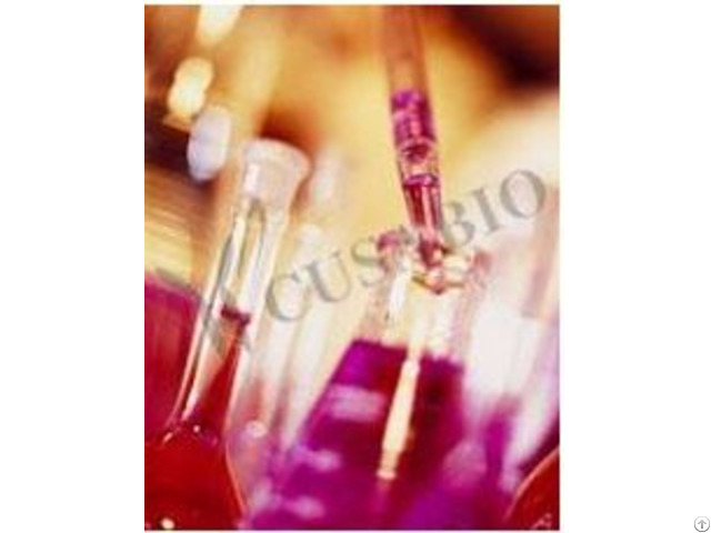 F2 Antibody Biotin Conjugated