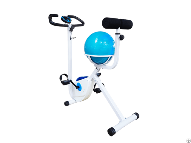 Wayflex Yoga Bike Wf 350