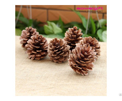 Wholesale Nature Pine Cone Accessories Photography Props Christmas Tree Decoration
