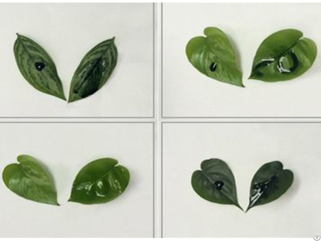 Silicone Agricultural Adjuvant Rj 7033