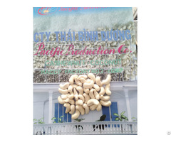 Vietnamese Cashew Kernels