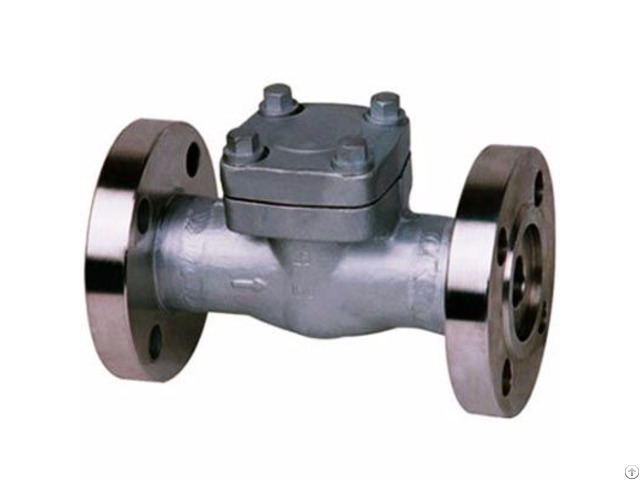 Forged Swing Lift Check Valve