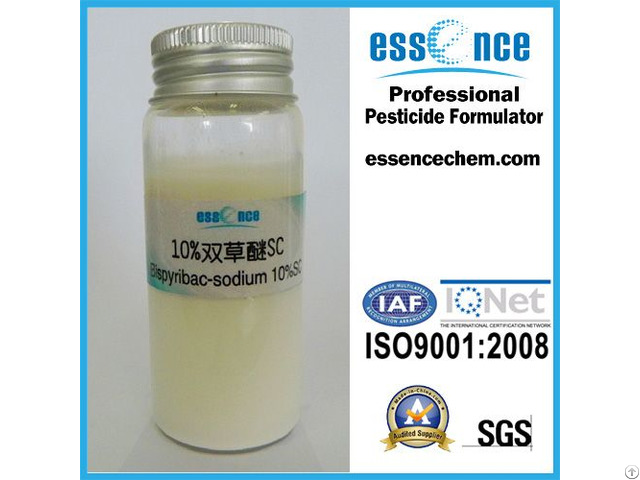 Bispyribac Sodium 10 Percent Sc