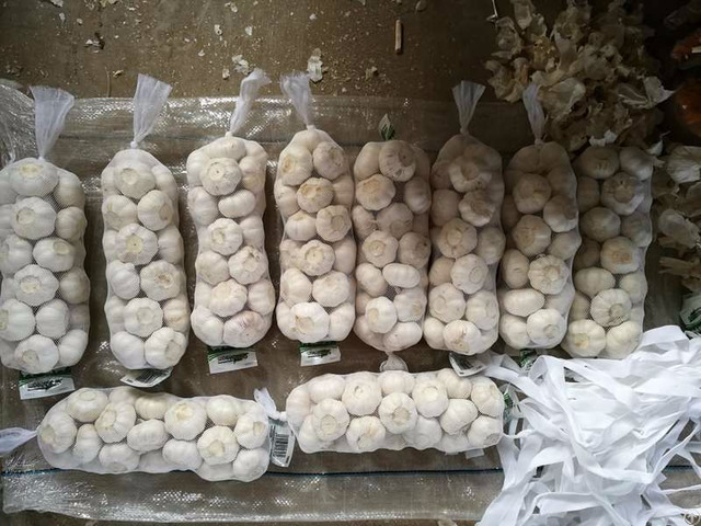 Garlic From Jinxiang Of Jining China
