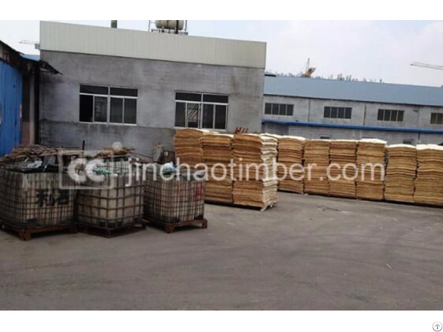 China Film Faced Plywood Manufacturer