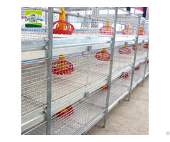 Greatfarm Chicken Cage