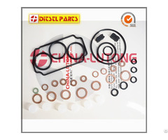 Engine Repair Kits Z 146600 1120 B 9 461 610 423 Fl 800600 For Ve Parts Replace