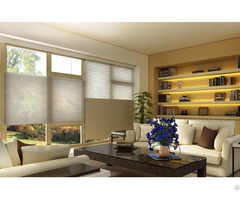 Motorized Day And Night Cellular Shades