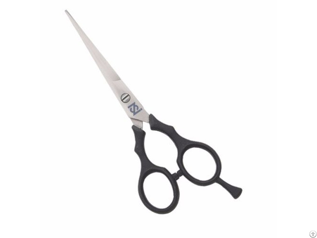 Plastic Handle Hair Scissor