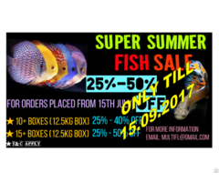 Aquarium Fish Wholesale
