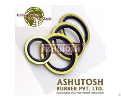 High Performance Metal Rubber O Ring Seal