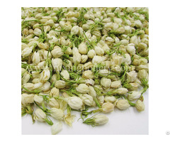 Loose Leaf Good For Health Jasmine Bud Herbal Tea