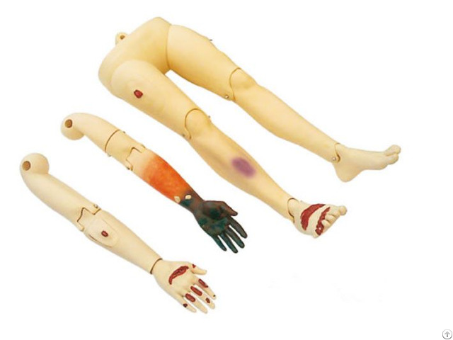 Jy T4 Trauma Limbs