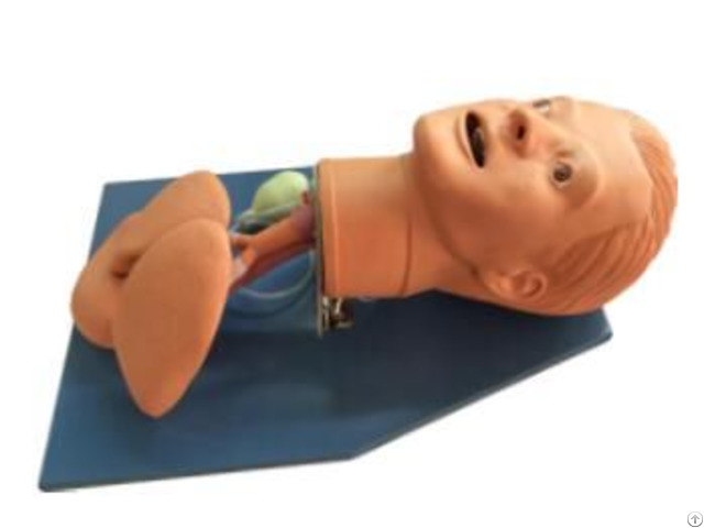 Jy J 004 Airway Managerment Model