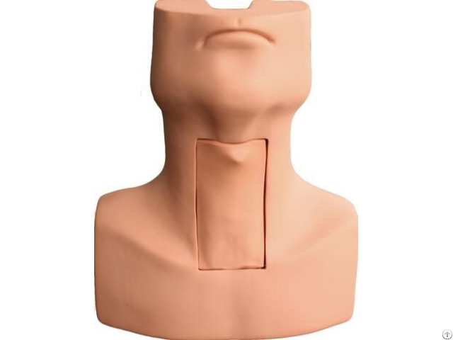 Jy J 007 Advanced Tryrocricocentesis Tracheostomy Simulator