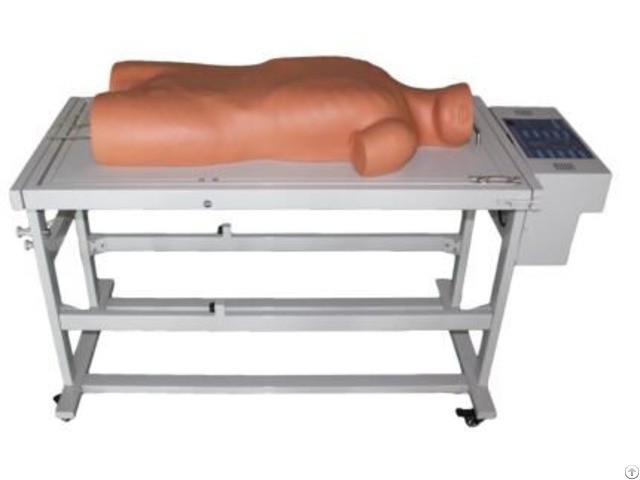 Jy L 1001 Comprehensive Puncture And Percussion Examination Skills Training Simulator