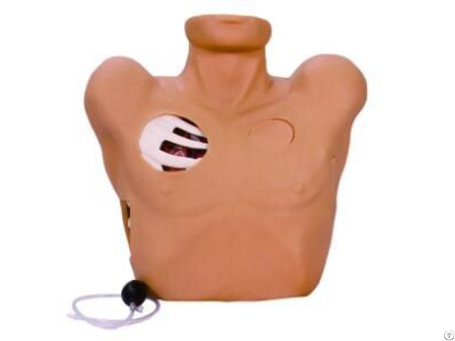 Jy L 1019 Thoracentesis Drainage Simulator