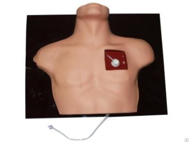 Jy L 1020 Venous Intervention Simulator