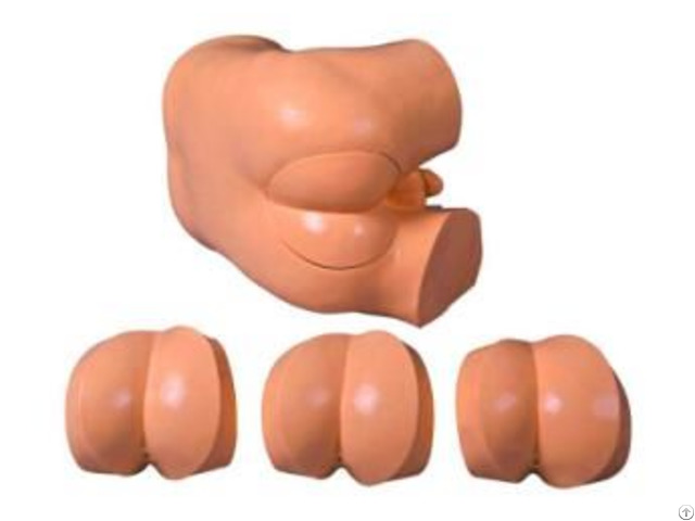 Jy L 1023b Rectal Touch Examination Simulator