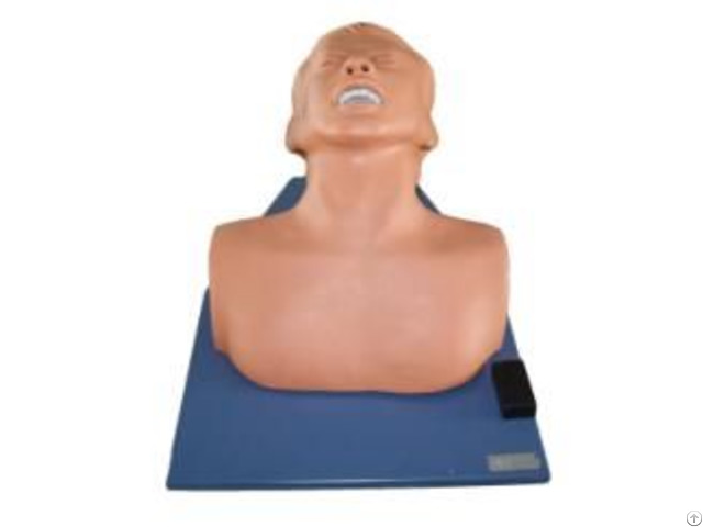 Jy L 1029 Cricothyroid Membrane Puncture And Cut Simulator