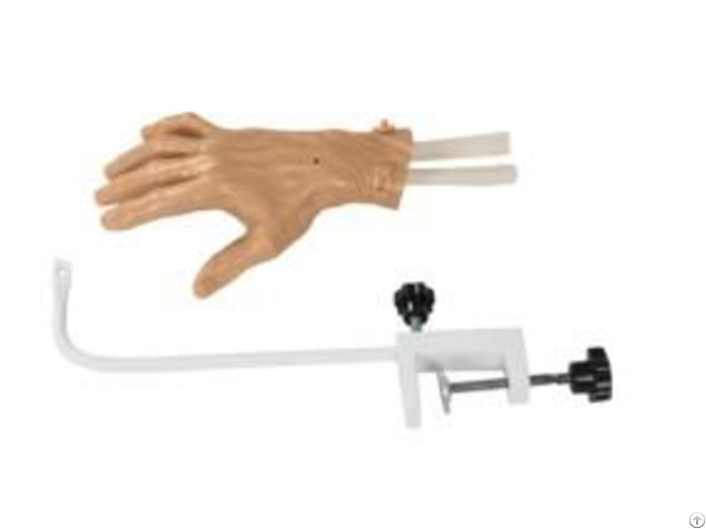 Jy L 102d Hand Arthroscopy Model