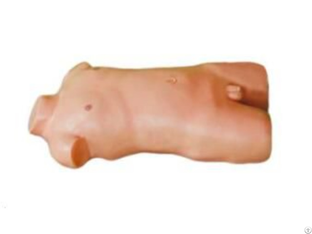 Jy L 2002 Children S Abdominal Puncture Simulator