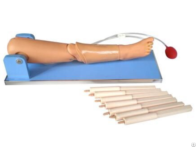 Jy L 2024 Advanced Bone Marrow Puncture And Femoral Venipuncture Simulator