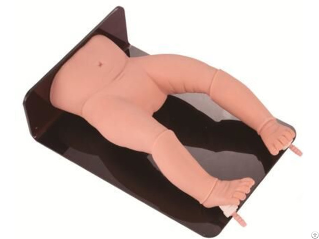 Jy L 3025 Advanced Infant Bone Marrow Puncture Simulator