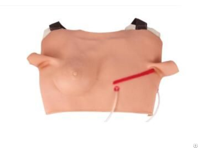 Jy L B24 Thoracic Incision And Suture Model