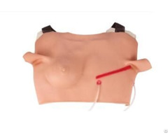 Jy L B24 Thoracic Incision And Suture Model