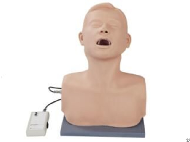 Jy L W08 Electronic Throat Examination Model