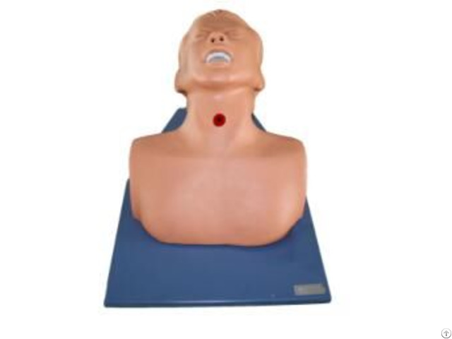 Jy H 0010 Adult Tracheotomy Care Model