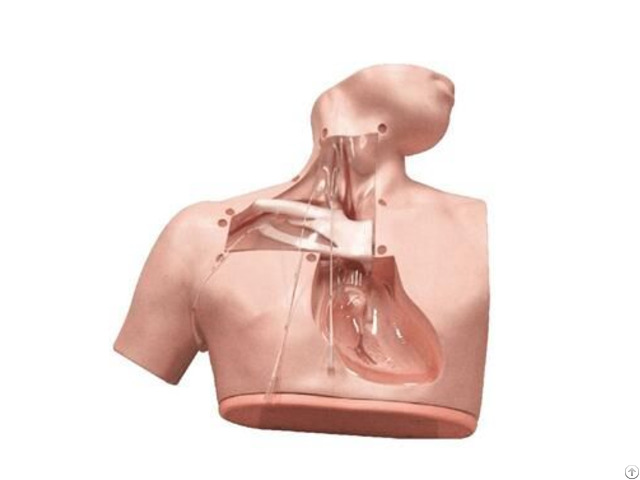 Jy H 0007 Parenteral Alimentation Nursing Simulator